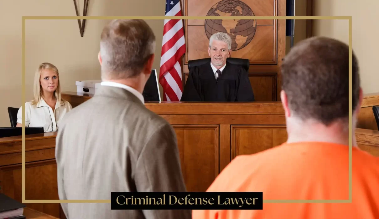 Criminal Defense Lawyer