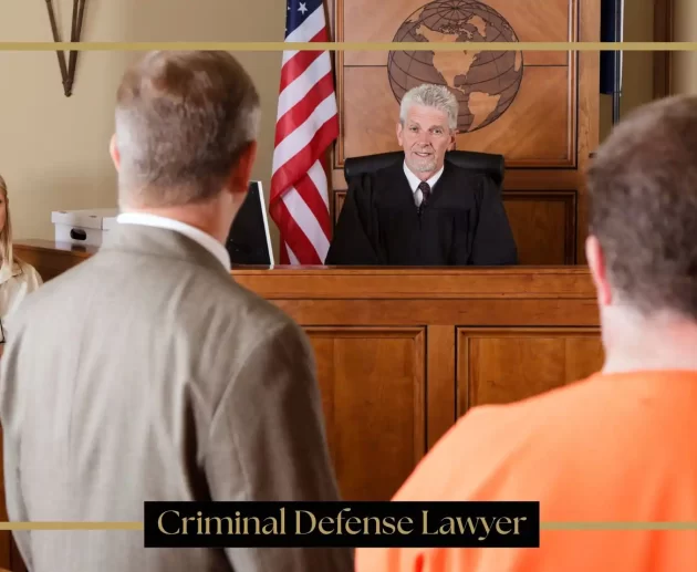 Criminal Defense Lawyer