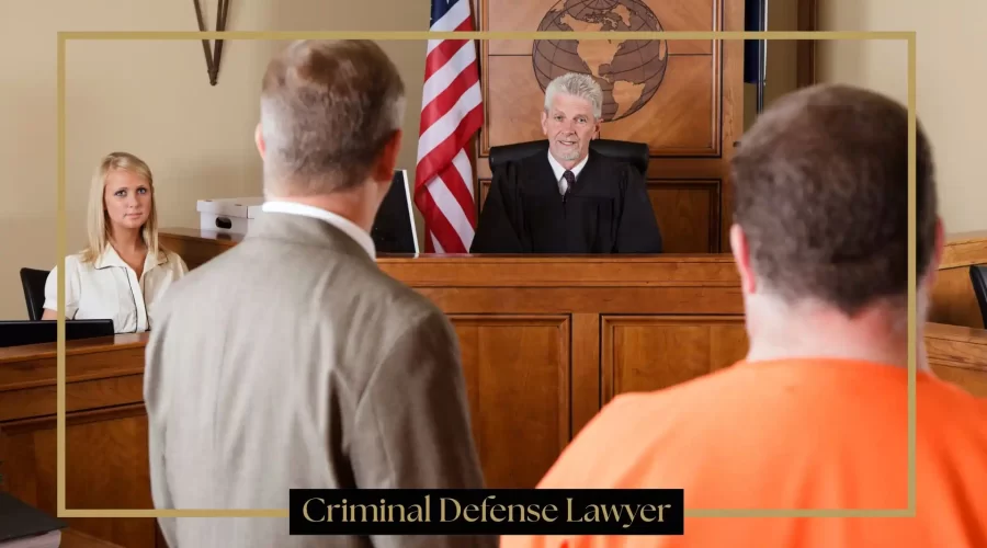Criminal Defense Lawyer